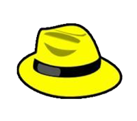 pdf